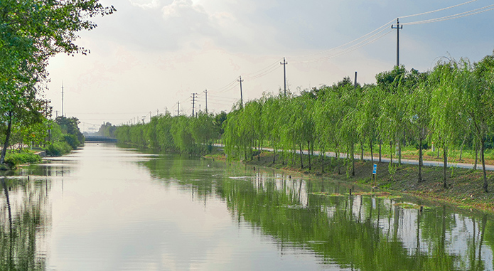 黑臭水體整治,黑臭水體治理,黑臭水體處理