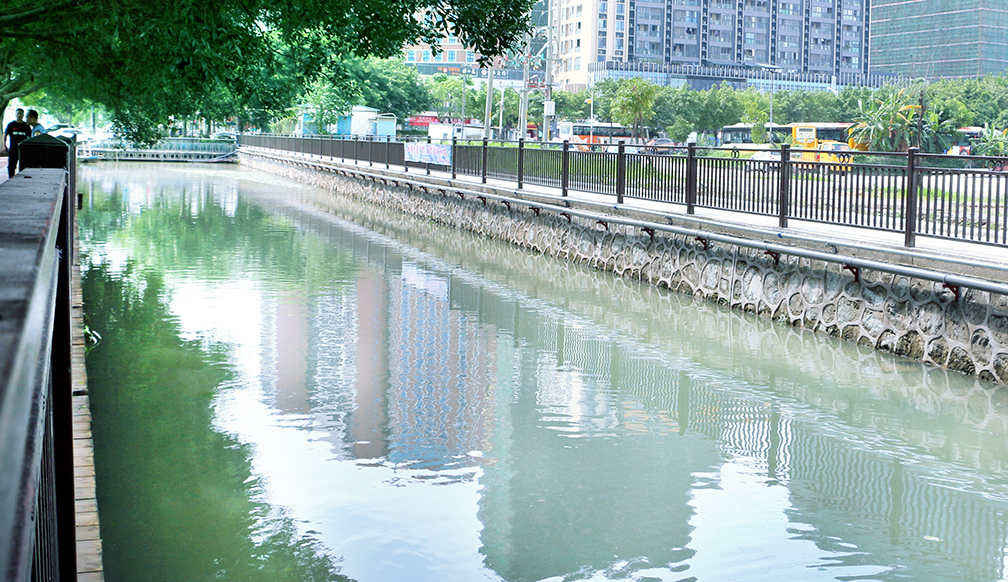 桔樹(shù)涌(下沙路段)整治效果