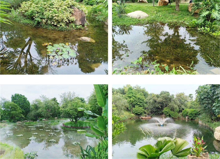 廣州市海珠區(qū)蘭溪湖治理效果