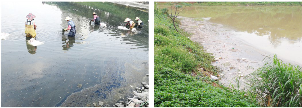 海口市公園人工湖修復(fù)前