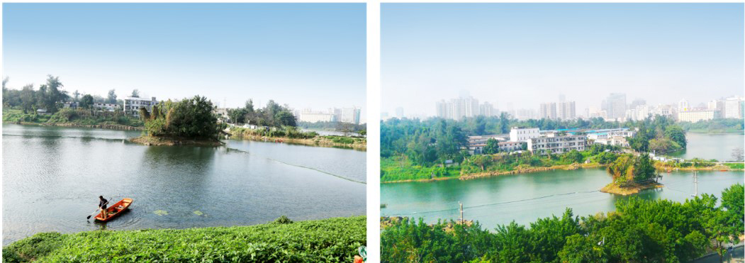 海口市公園人工湖修復(fù)后