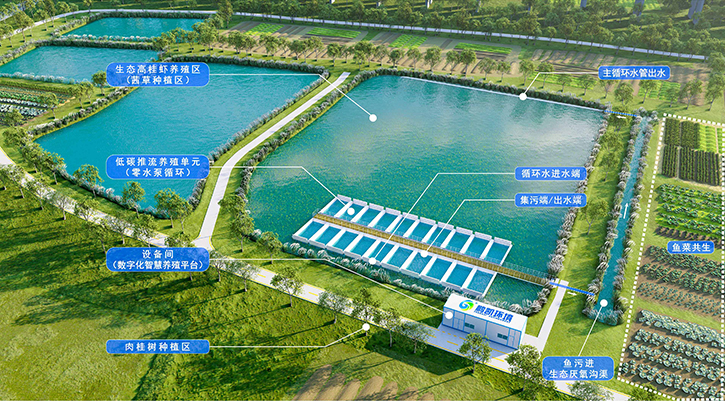 粵港澳大灣區(qū)魚蝦共生綠色循環(huán)養(yǎng)殖示范(高要)基地